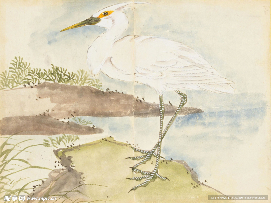 余曾三国画 百花鸟图