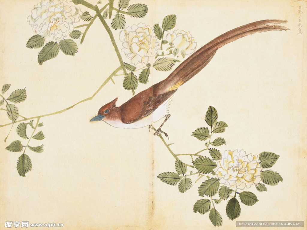 余曾三国画 百花鸟图