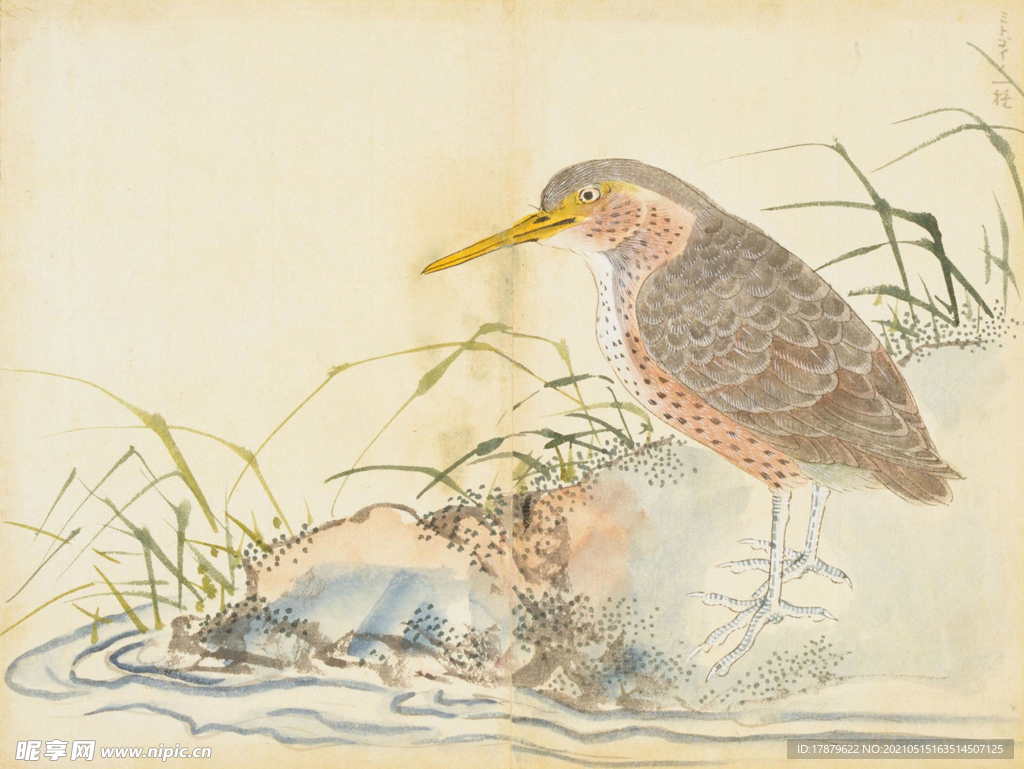 余曾三国画 百花鸟图