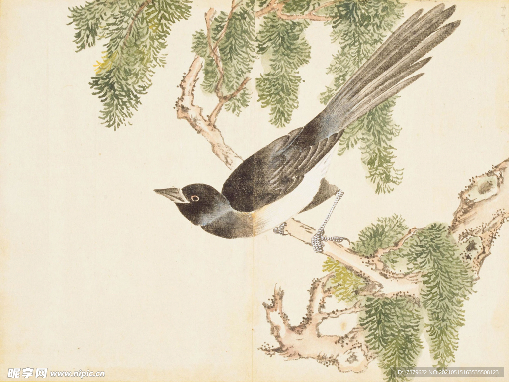 余曾三国画 百花鸟图