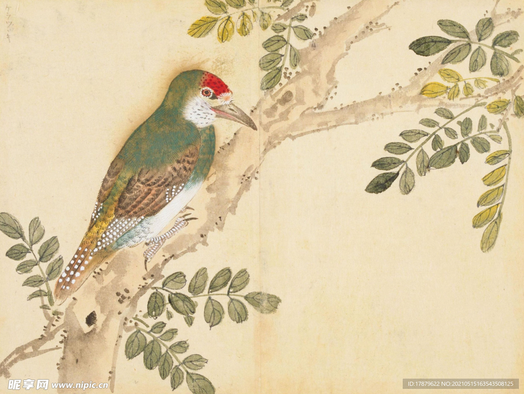 余曾三国画 百花鸟图