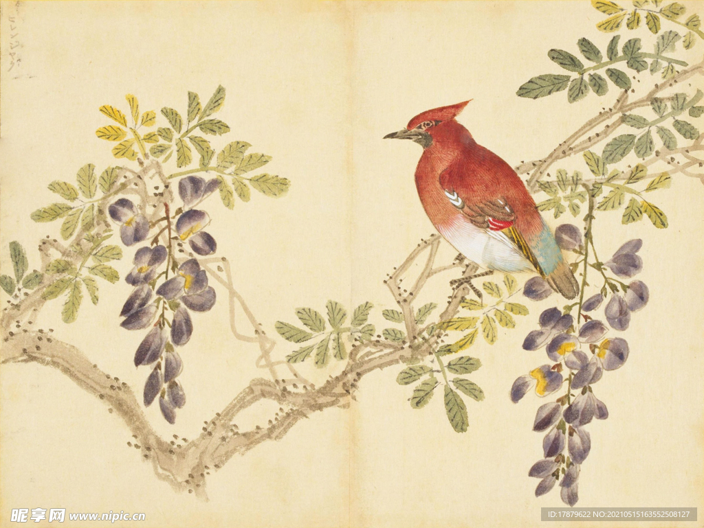 余曾三国画 百花鸟图