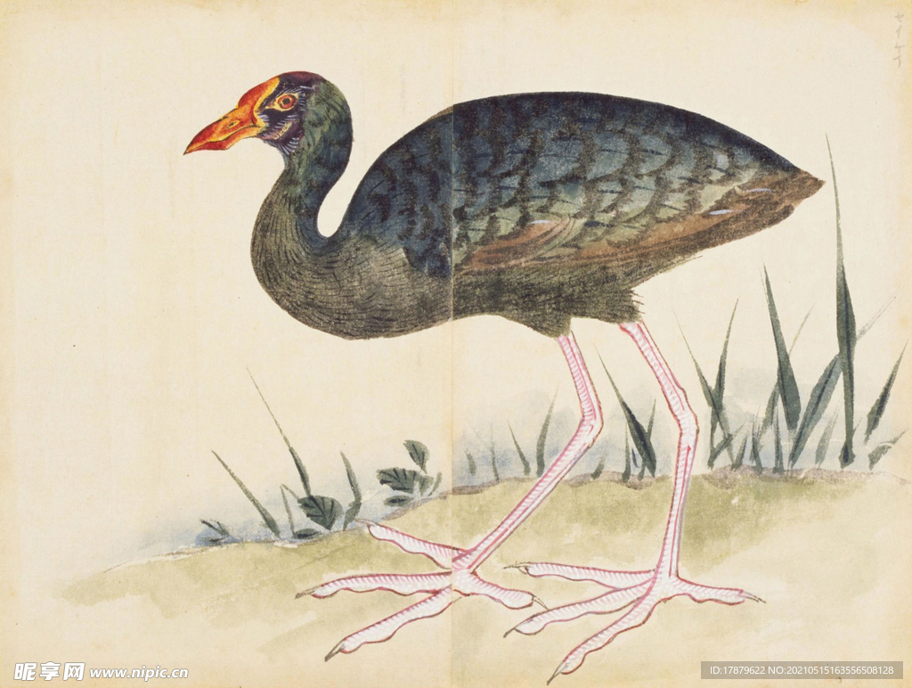 余曾三国画 百花鸟图