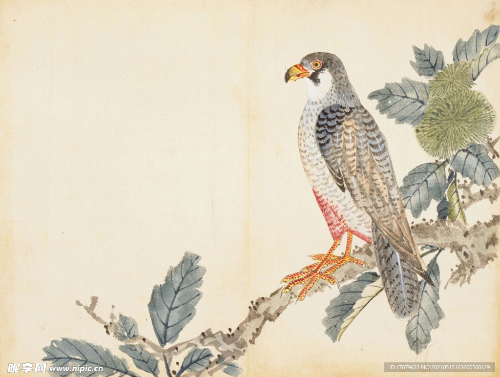 余曾三国画 百花鸟图图片