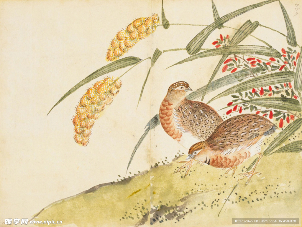 余曾三国画 百花鸟图