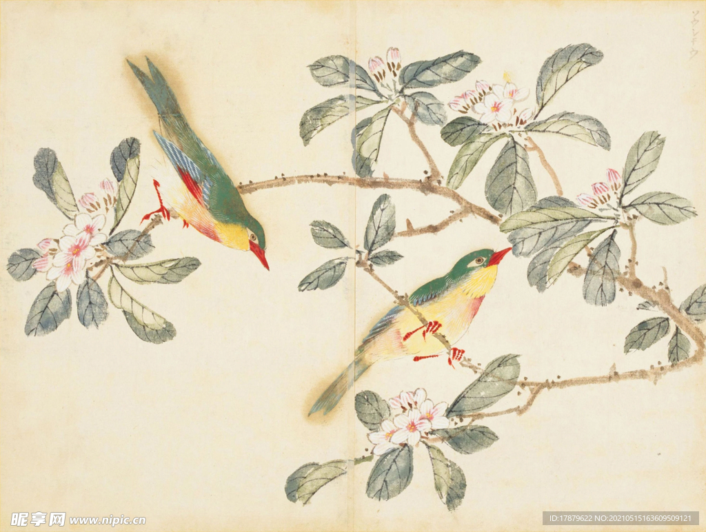 余曾三国画 百花鸟图