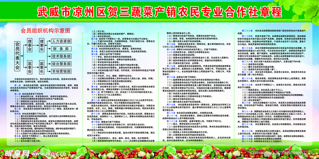蔬菜产销农民专业合作社章程