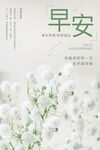 小清新唯美早安海报