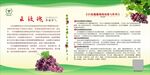 葡萄展板