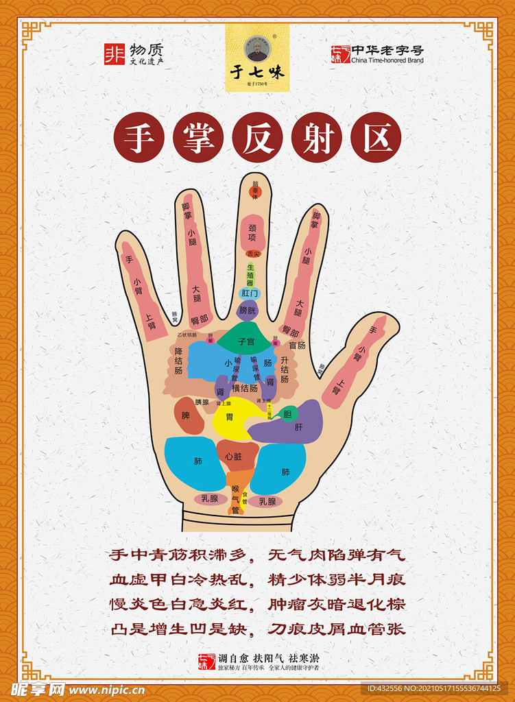 中医健康-手部反射区 非转曲