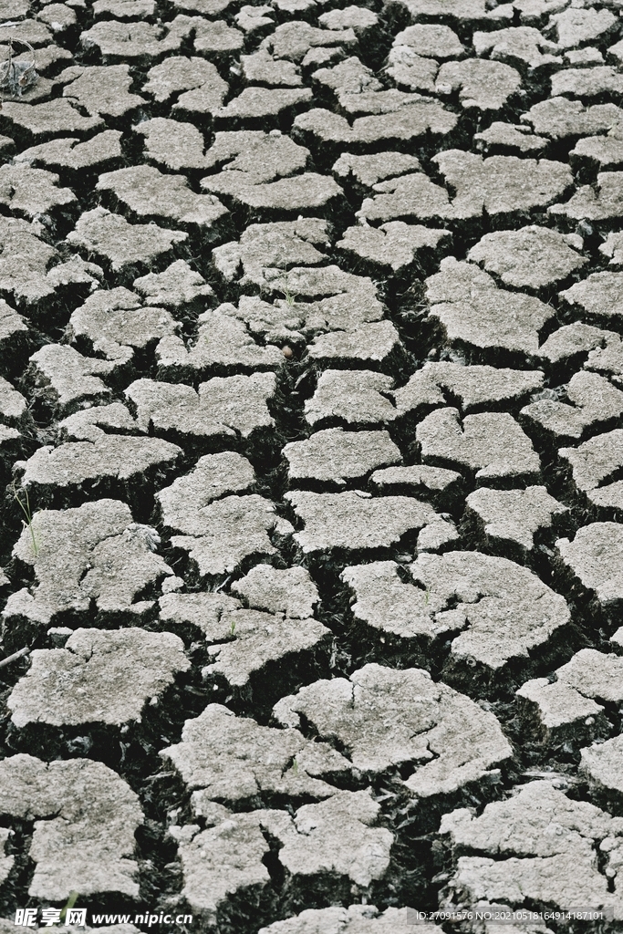 黑土地裂纹背景