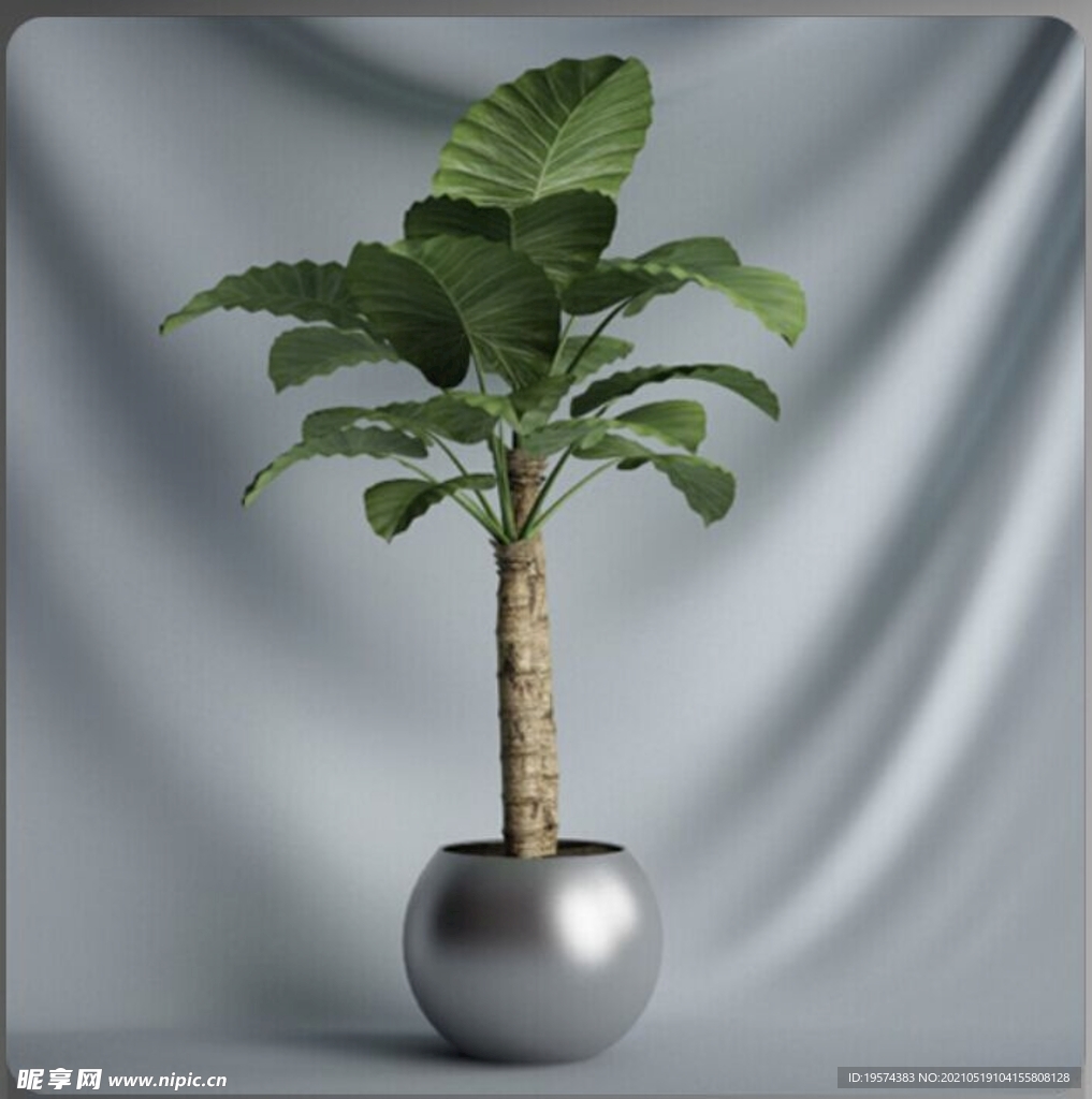 C4D模型盆栽绿色植物插花