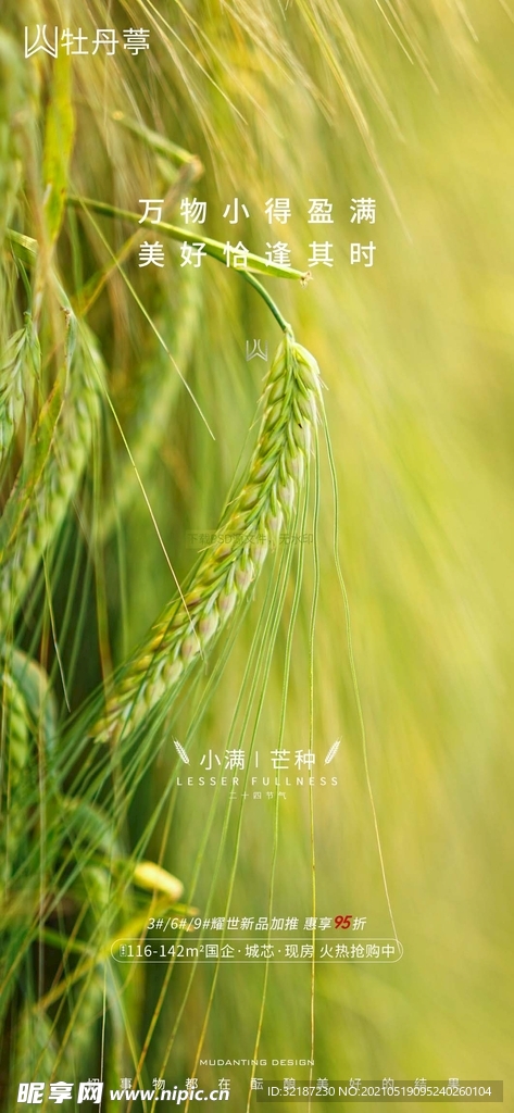 地产小满芒种海报