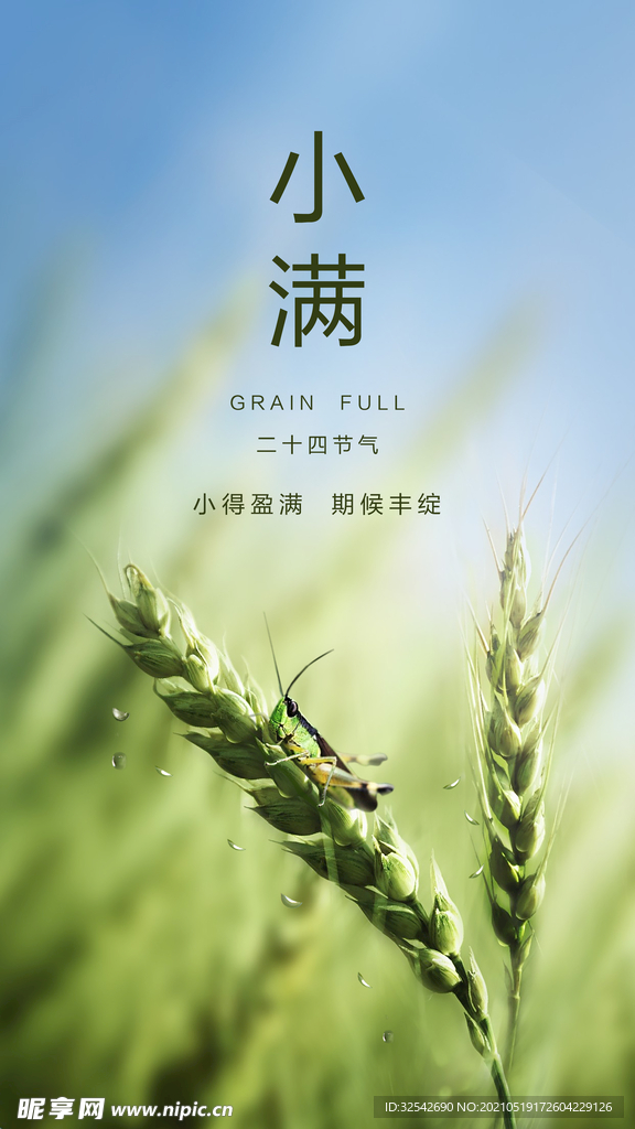 小满 二十四节气