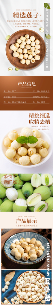 莲子详情