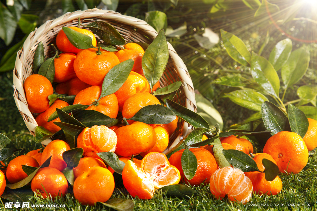 诱人的水果沙糖桔