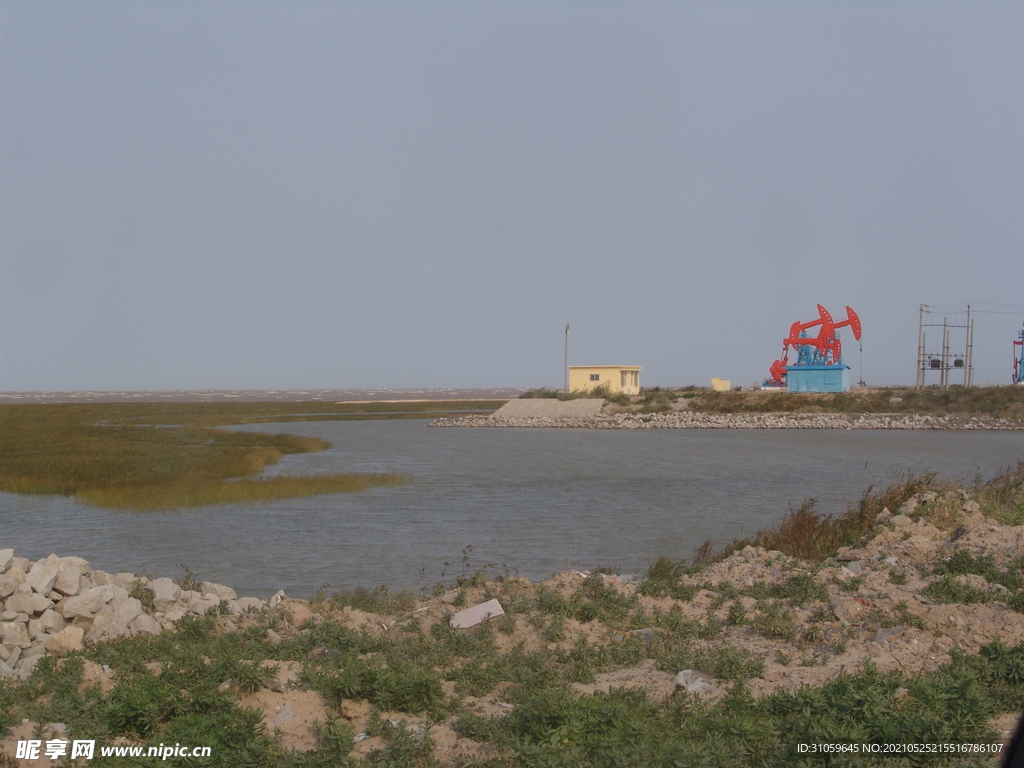 湿地旁的油井