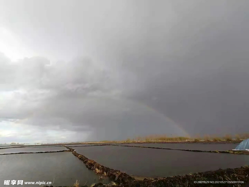 稻田雨后彩虹
