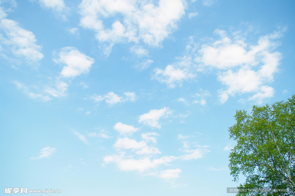 高清淡蓝晴空图