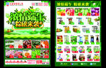 超市 彩页 端午 绿色 单页