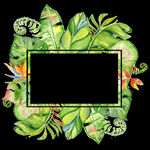  花朵元素 手绘花环 水彩花 