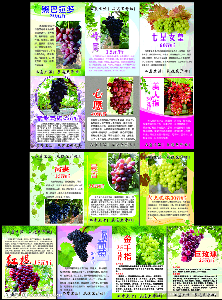 水果公园葡萄园