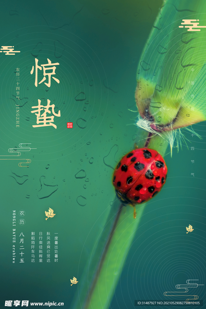 简约微凉昆虫植物惊蛰节气海报