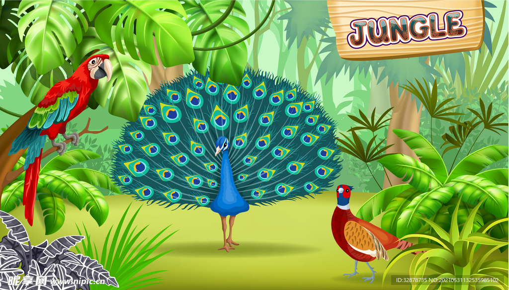 动物插画 孔雀 鸟类