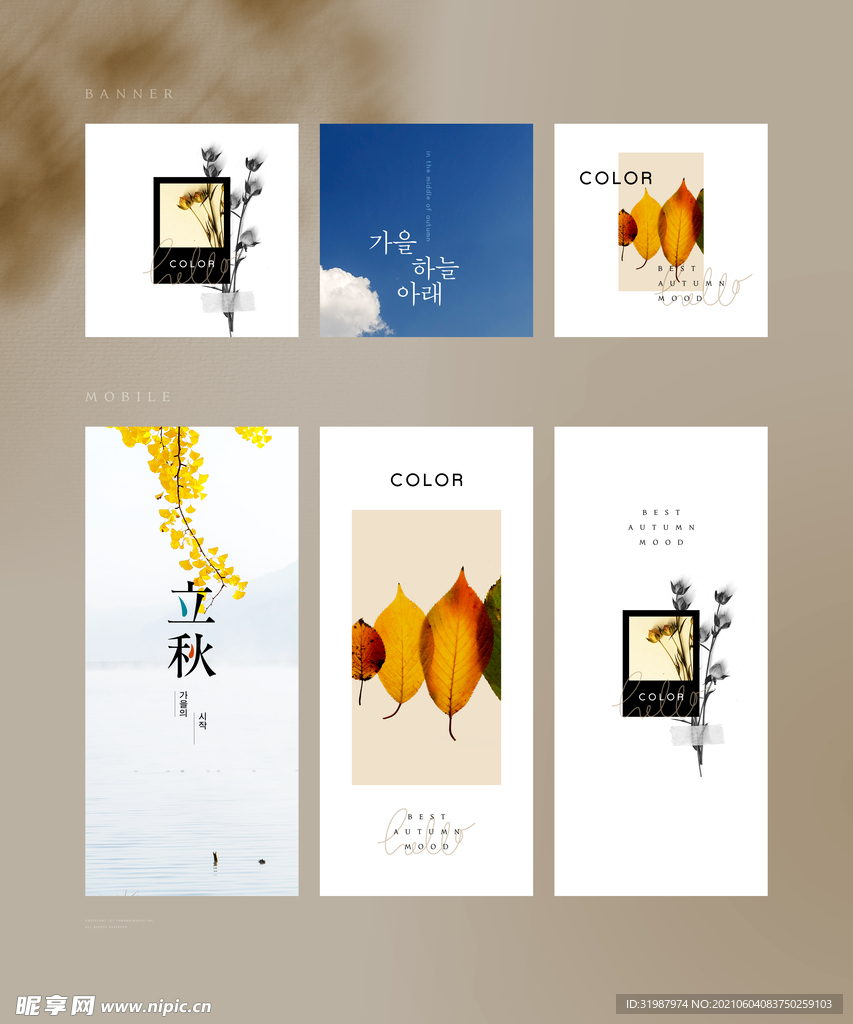 书签卡片版式图片 