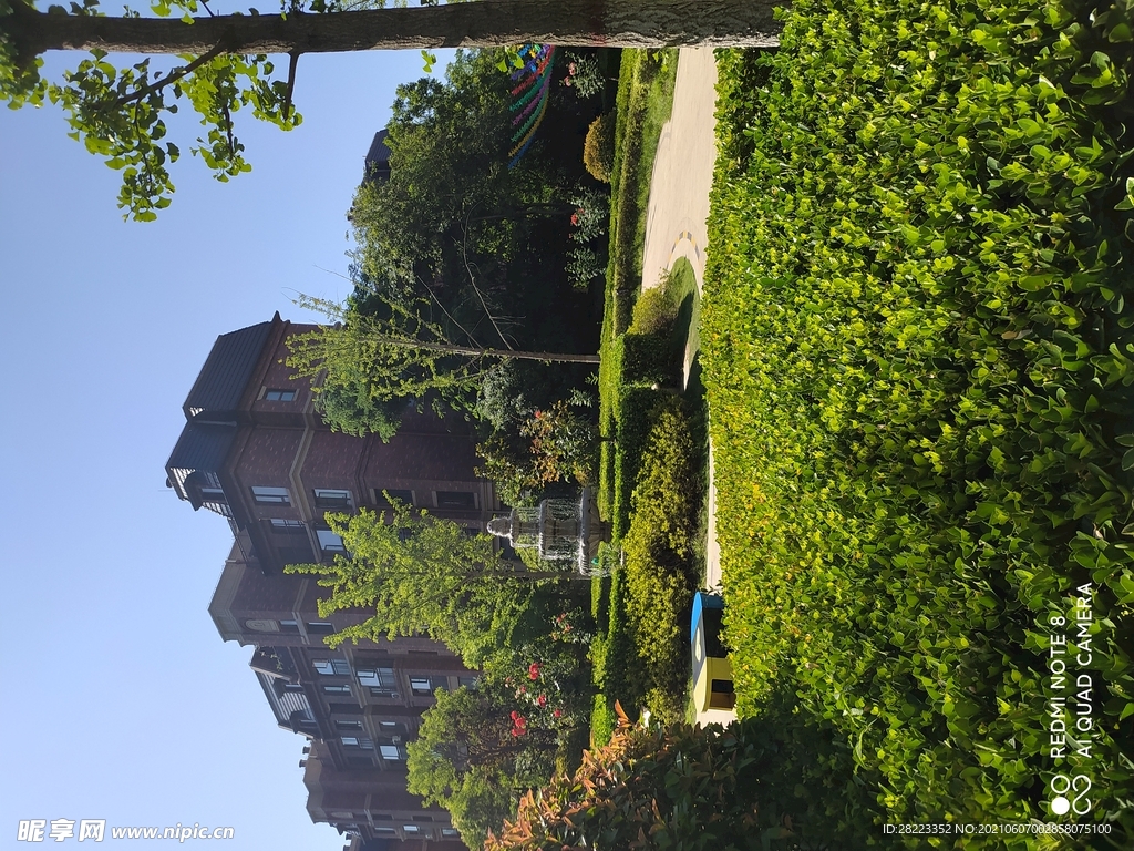 美丽社区图片素材