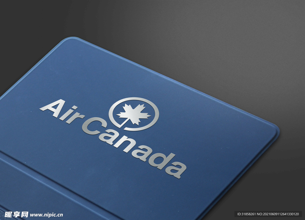 皮本子封面logo样机展示