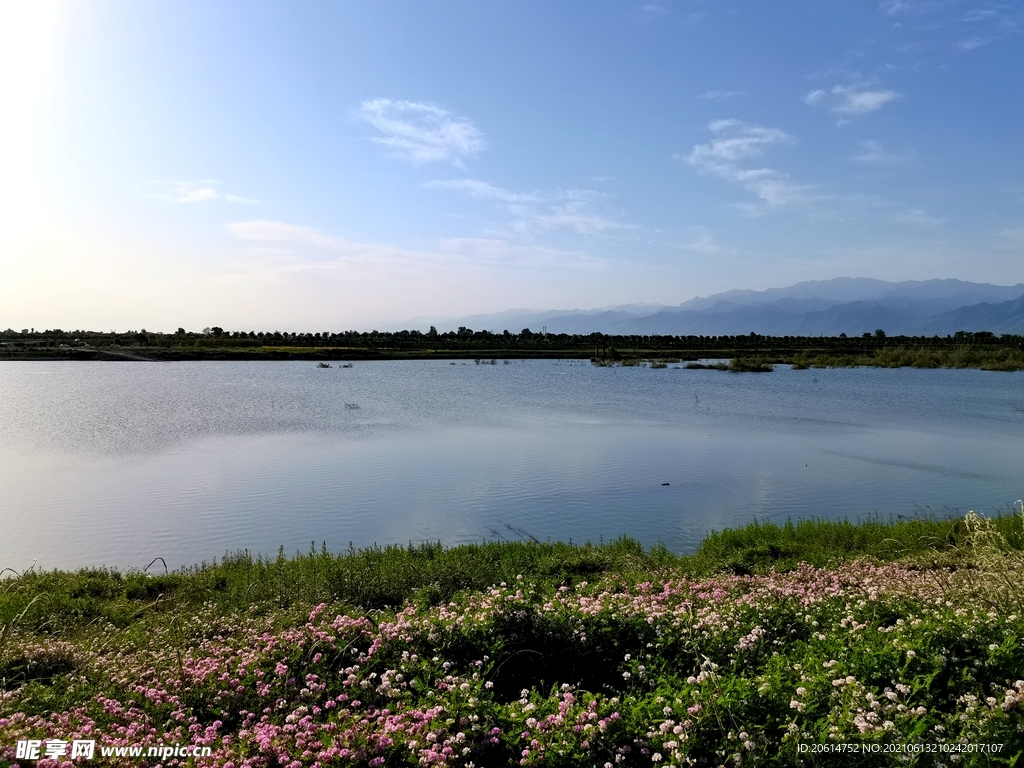 美丽的乡村河道风景