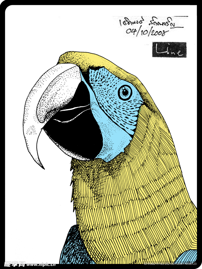 手绘 鹦鹉服装图案 T恤印花