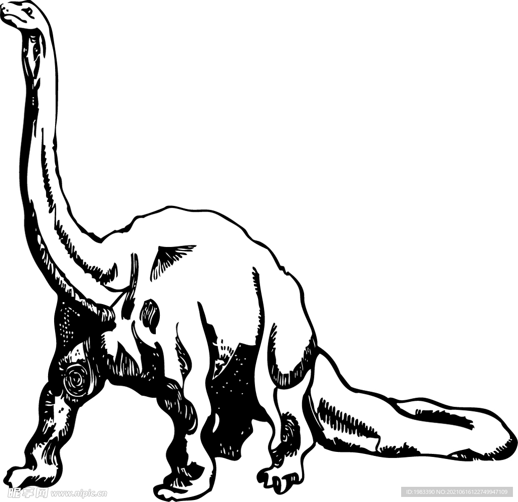 恐龙写实插画剪影