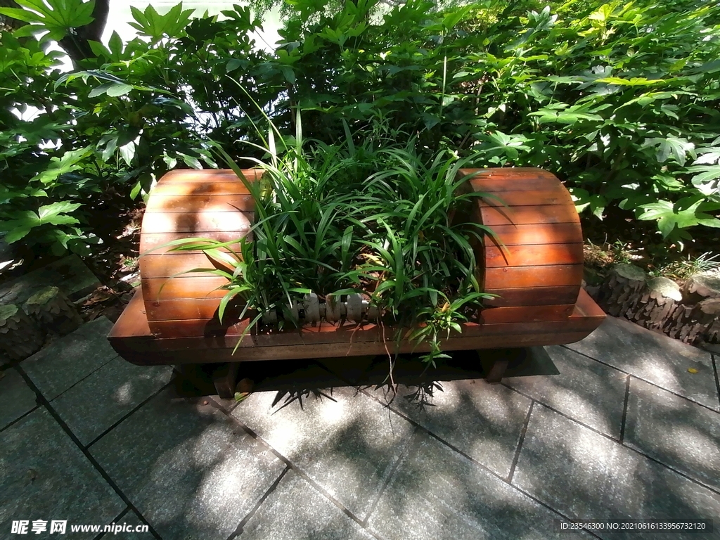 造形别致的花坛