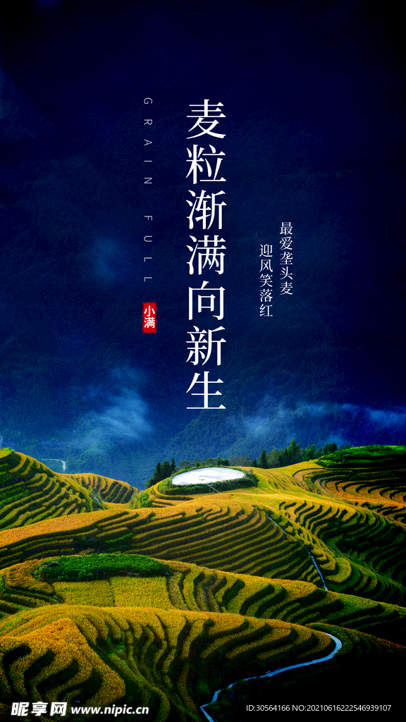 小满节气传统活动宣传海报素材