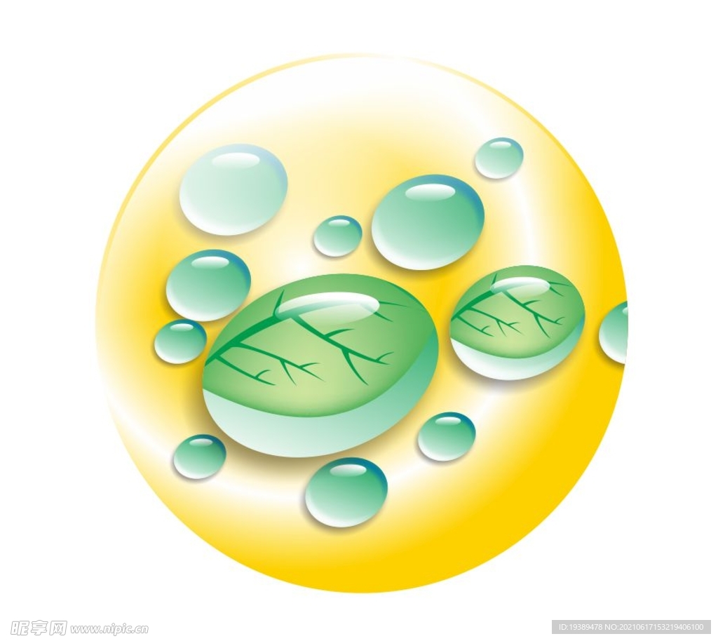 水滴水珠叶片手绘矢量