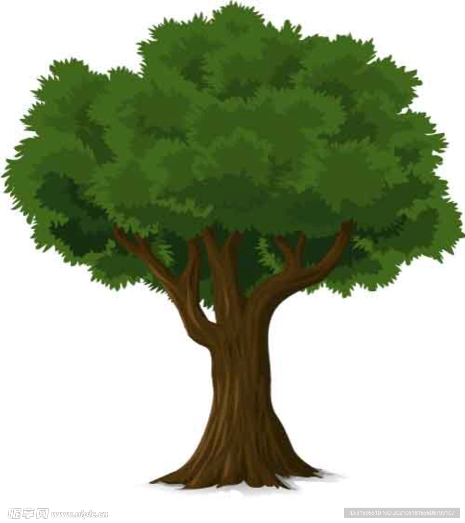 大树矢量素材