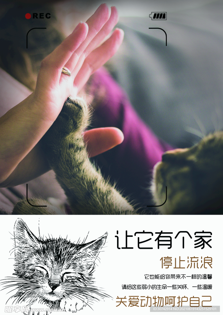 关爱流浪动物