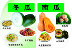 冬瓜 南瓜