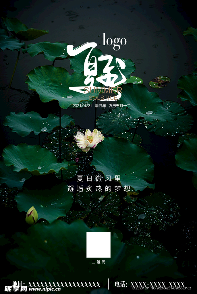 夏至 荷花 荷叶