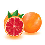 原创手绘西柚水果