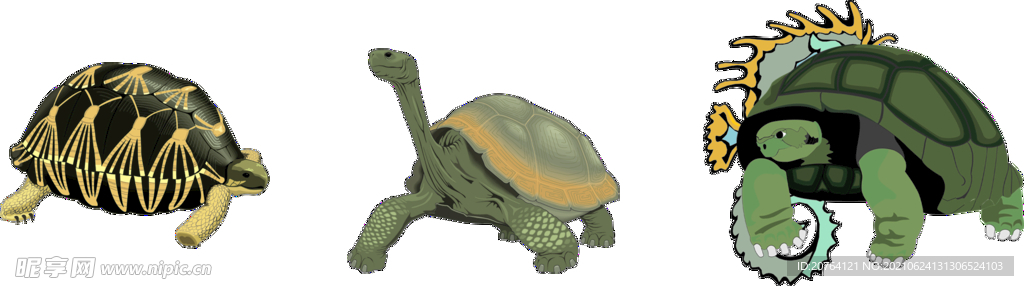 卡通乌龟