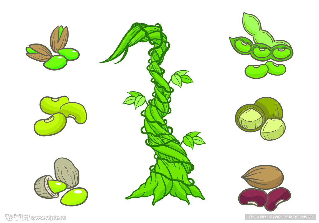 卡通藤蔓豆茎