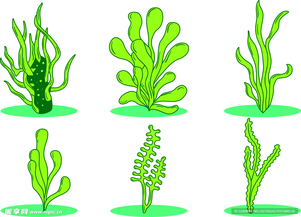 绿色海草植物合集