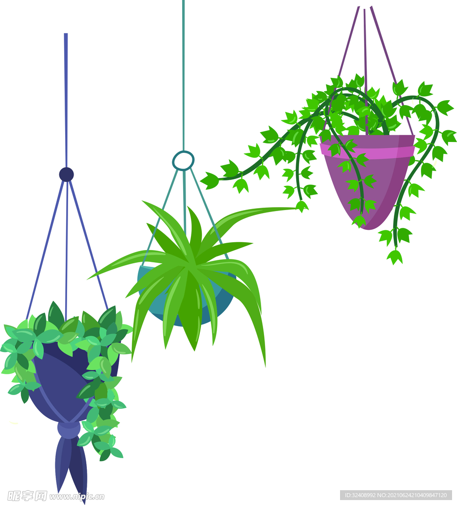 三个矢量植物吊兰