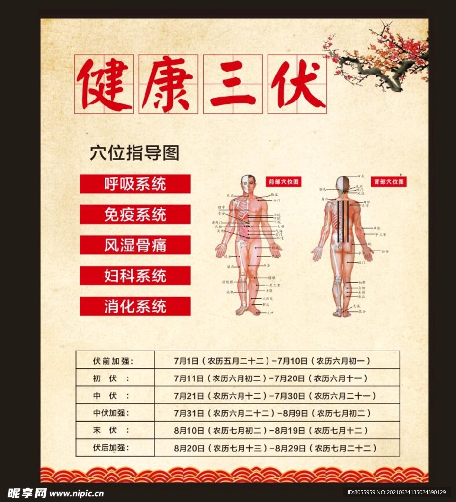 三伏贴 三伏天 穴位图