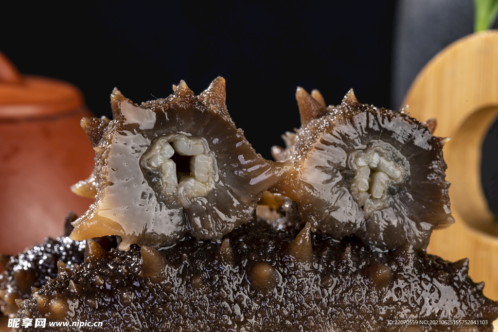 即食海参侧面切开