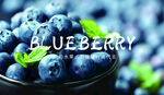 蓝莓