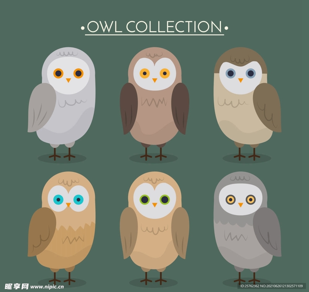 手绘森林猫头鹰